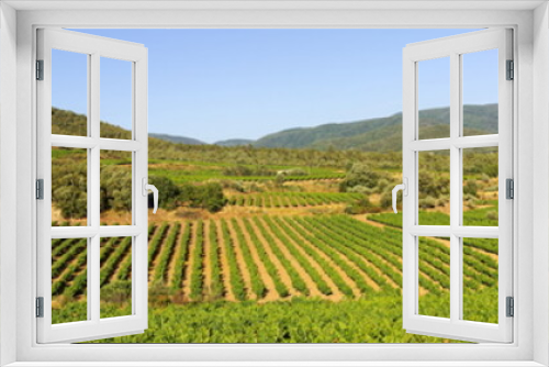 Fototapeta Naklejka Na Ścianę Okno 3D - Paysage de vignes panoramique