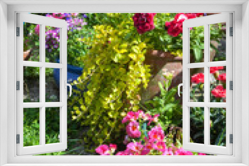 Fototapeta Naklejka Na Ścianę Okno 3D - Beautiful summer garden