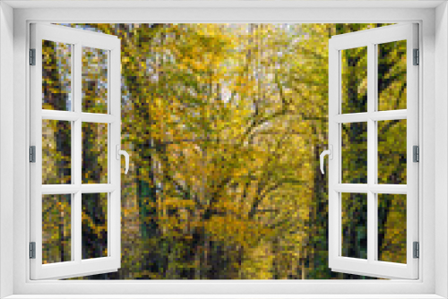 Fototapeta Naklejka Na Ścianę Okno 3D - Złota Jesień