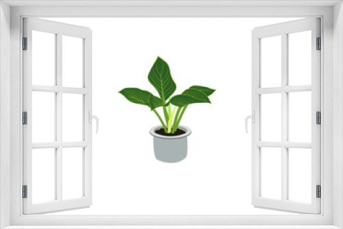 Fototapeta Naklejka Na Ścianę Okno 3D - Realistic house plats Vector with ficus and rhopalostylis in pots on transparent background isolated vector illustration Decorative monstera tree planted white ceramic pot isolated on white background