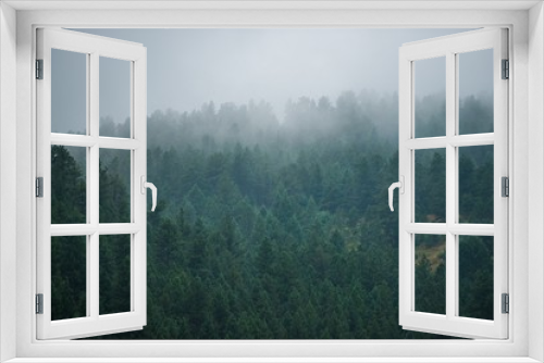 Fototapeta Naklejka Na Ścianę Okno 3D - Foggy Forest Hill