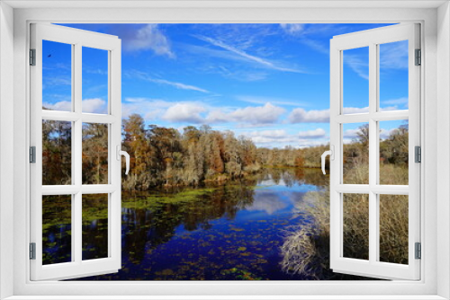 Fototapeta Naklejka Na Ścianę Okno 3D - The winter landscape of Hillsborough river and Lettuce park at Tampa, Florida
