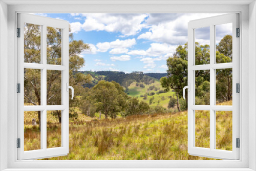 Fototapeta Naklejka Na Ścianę Okno 3D - Australian bush landscape in New South Wales