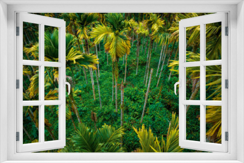 Fototapeta Naklejka Na Ścianę Okno 3D - Top view of landscape in tropical forest