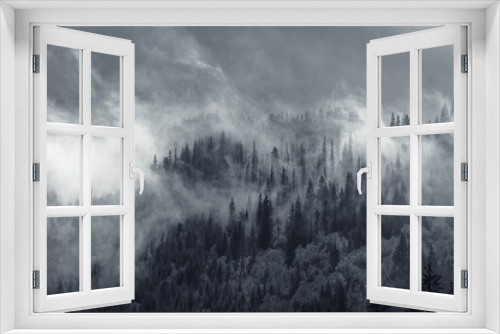 Fototapeta Naklejka Na Ścianę Okno 3D - Mgliste lasy - Dolina MaŁej Łąki, Tatry, Polska 