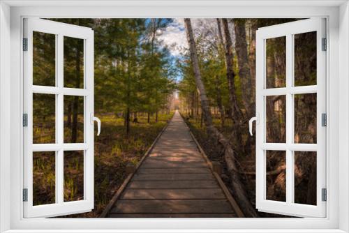 Fototapeta Naklejka Na Ścianę Okno 3D - Wooden boardwalk through the marsh and forest in Spring 