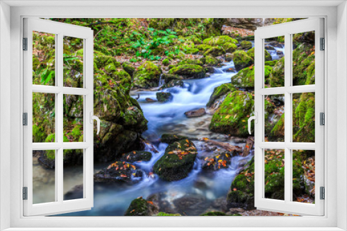 Fototapeta Naklejka Na Ścianę Okno 3D - Creek deep in mountain forest