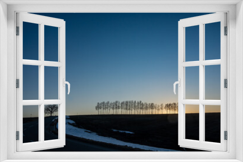 Fototapeta Naklejka Na Ścianę Okno 3D - 美しい早春の夕暮れの空と冬木立

