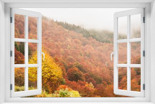Fototapeta Naklejka Na Ścianę Okno 3D - Autumn