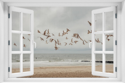 Fototapeta Naklejka Na Ścianę Okno 3D - Gruppe fliegender Möwen am Strand von Domburg (Zeeland, Niederlande)