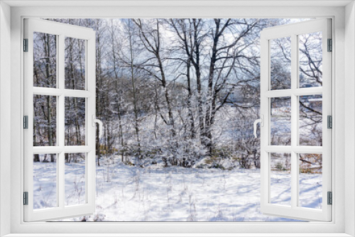 Fototapeta Naklejka Na Ścianę Okno 3D - Snowy field and trees in winter