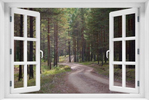 Fototapeta Naklejka Na Ścianę Okno 3D - A rural road through a forest