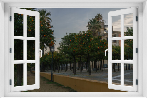 Fototapeta Naklejka Na Ścianę Okno 3D - Orange Trees Line a Peaceful City Walkway