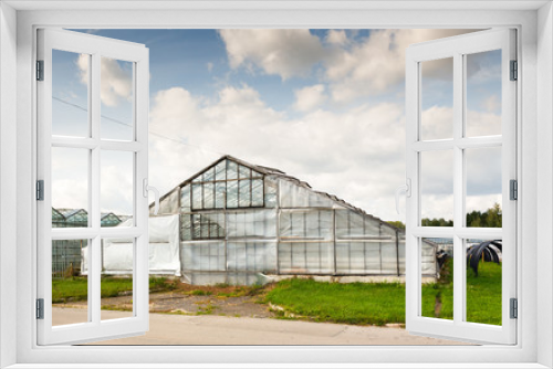 Fototapeta Naklejka Na Ścianę Okno 3D - greenhouse vegetable production