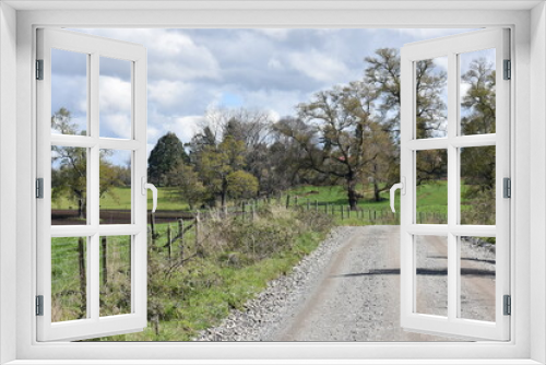 Fototapeta Naklejka Na Ścianę Okno 3D - Camino en los campos de la ribera de Calafquen
