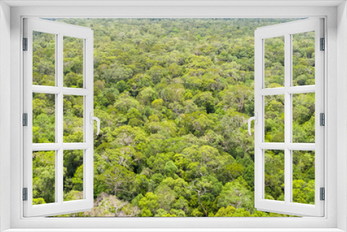 Fototapeta Naklejka Na Ścianę Okno 3D - Aerial view of the Borneo rainforest.
