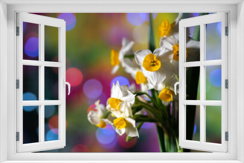 Fototapeta Naklejka Na Ścianę Okno 3D - 水仙の花　初春のイメージ
