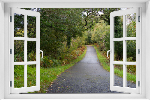 Fototapeta Naklejka Na Ścianę Okno 3D - Beautiful paved road in the middle of lush nature in the center of Ireland