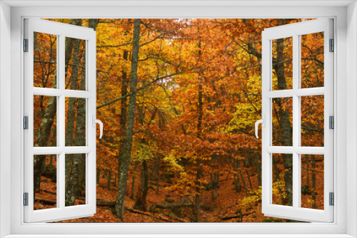 Fototapeta Naklejka Na Ścianę Okno 3D - paisajes y colores del otoño