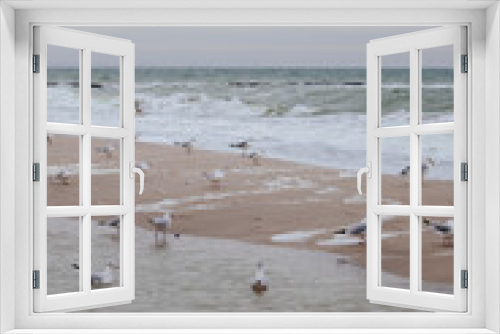 Fototapeta Naklejka Na Ścianę Okno 3D - seagulls on the sandy shore of a stormy sea in cloudy weather