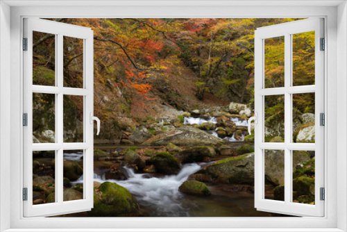 Fototapeta Naklejka Na Ścianę Okno 3D - 紅葉最盛期の本谷川渓谷と清流