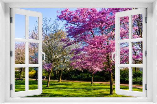 Fototapeta Naklejka Na Ścianę Okno 3D - Spring nature background.  Spring landscape