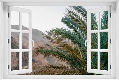 Fototapeta Naklejka Na Ścianę Okno 3D - palm branches on the background of the rocky mountains in the evening in Egypt Dahab