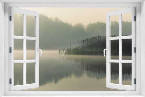 Fototapeta Naklejka Na Ścianę Okno 3D - Nature Backgrounds: Springtime in Fores at a Pond with a Reeds by Foggy Morning Sun