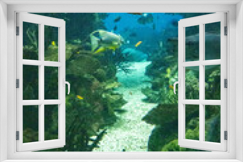 Fototapeta Naklejka Na Ścianę Okno 3D - Fish and coral in the aquarium with marine water. Vertical image