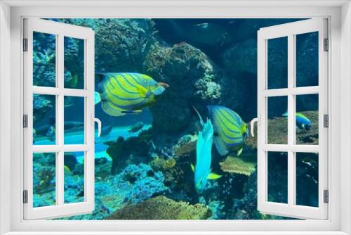 Fototapeta Naklejka Na Ścianę Okno 3D - seaworld