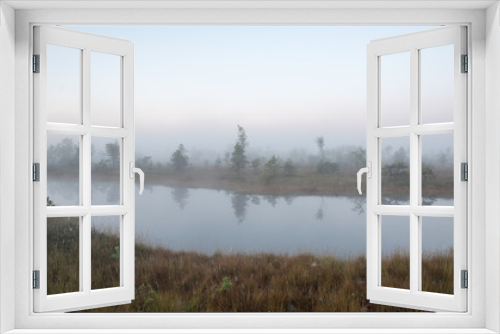 Fototapeta Naklejka Na Ścianę Okno 3D - Beautiful tranquil landscape of misty swamp lake