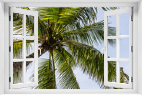 Fototapeta Naklejka Na Ścianę Okno 3D - Palm trees  on a tropical island  in the Maldives