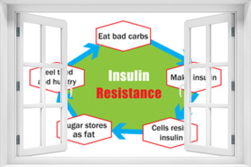 Insulin cycle before and after eat. Insulin resistance diagram. Vector illustration.