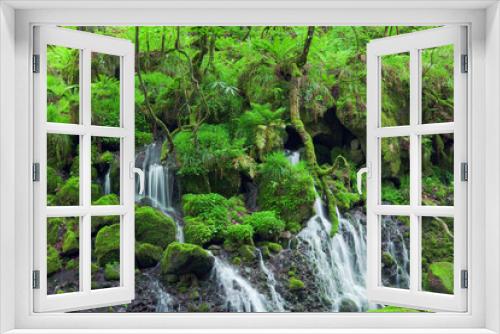 Fototapeta Naklejka Na Ścianę Okno 3D - 緑の苔と元滝伏流水