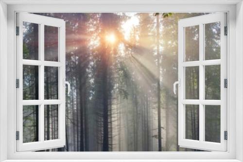 Fototapeta Naklejka Na Ścianę Okno 3D - Magic Carpathian forest at dawn