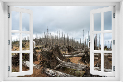 Fototapeta Naklejka Na Ścianę Okno 3D - Waldsterben