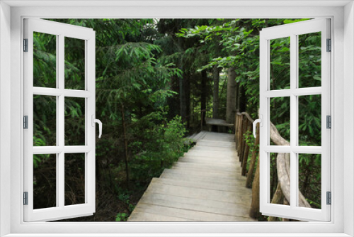 Fototapeta Naklejka Na Ścianę Okno 3D - View of wooden walkway in green forest