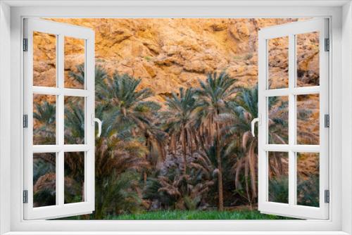 Fototapeta Naklejka Na Ścianę Okno 3D - Nature in Wadi Bani Khalid of Oman