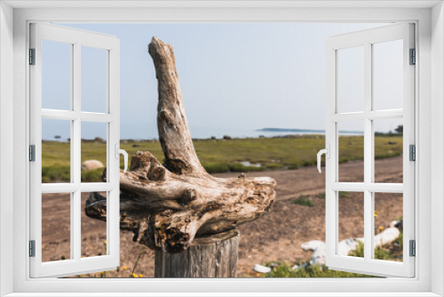 Fototapeta Naklejka Na Ścianę Okno 3D - dead tree trunk
