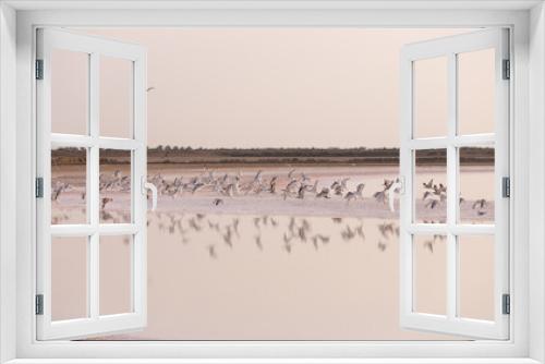 Fototapeta Naklejka Na Ścianę Okno 3D -  A flock of seagulls flies over a salt lake.
