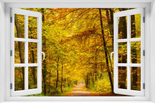 Fototapeta Naklejka Na Ścianę Okno 3D - Autumn park