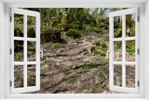 Fototapeta Naklejka Na Ścianę Okno 3D - Walking in a forest park in a mountainous area during the onset of the spring-summer period.