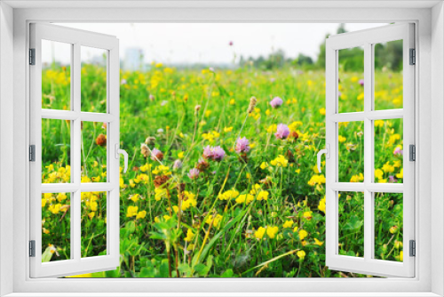 Fototapeta Naklejka Na Ścianę Okno 3D - Floral lawn
