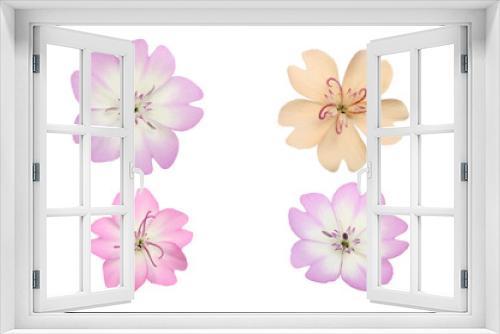 Fototapeta Naklejka Na Ścianę Okno 3D - Pastel flowers