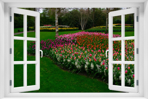 Fototapeta Naklejka Na Ścianę Okno 3D - Flowers in the park in spring