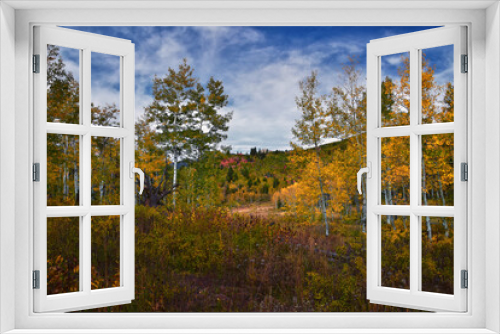 Fototapeta Naklejka Na Ścianę Okno 3D - Timpanogos back panoramic views, Willow Hollow Ridge, Pine Hollow Trail hiking trail Wasatch Rocky Mountains, Utah. United States.