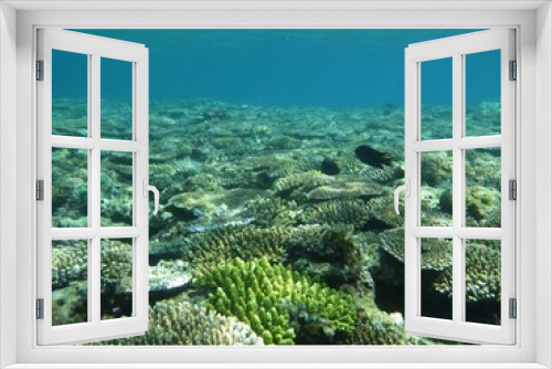 Fototapeta Naklejka Na Ścianę Okno 3D - 沖縄の海	
