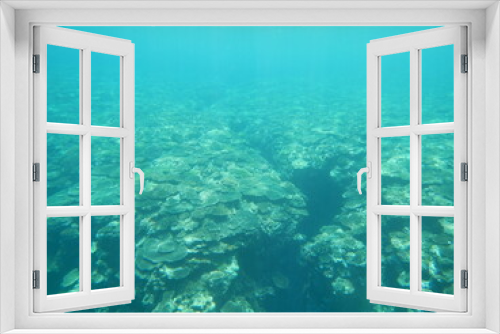 Fototapeta Naklejka Na Ścianę Okno 3D - 沖縄の海	

