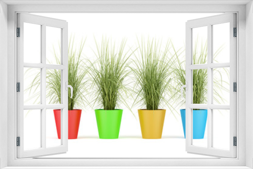 Fototapeta Naklejka Na Ścianę Okno 3D - four houseplants in multycolor pots isolated on white background