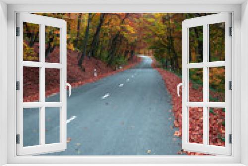 Fototapeta Naklejka Na Ścianę Okno 3D - A road lined with autumn trees, a breathtaking view, falling leaves